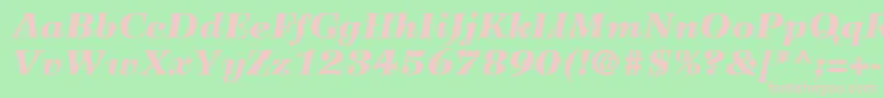 WilkeLt96BlackItalic Font – Pink Fonts on Green Background