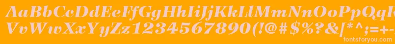 WilkeLt96BlackItalic-Schriftart – Rosa Schriften auf orangefarbenem Hintergrund