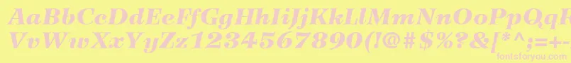 Fonte WilkeLt96BlackItalic – fontes rosa em um fundo amarelo