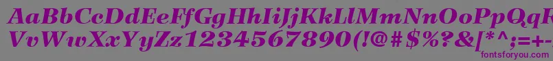 WilkeLt96BlackItalic-fontti – violetit fontit harmaalla taustalla