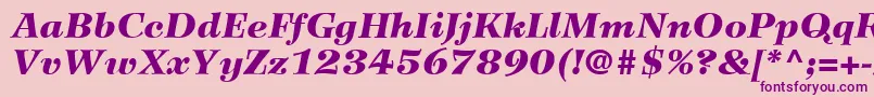 WilkeLt96BlackItalic Font – Purple Fonts on Pink Background