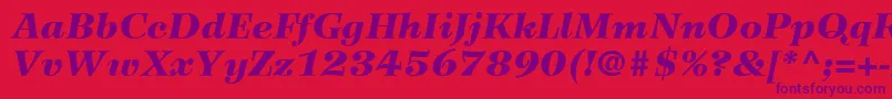 WilkeLt96BlackItalic Font – Purple Fonts on Red Background