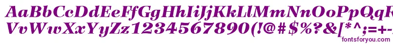 WilkeLt96BlackItalic Font – Purple Fonts