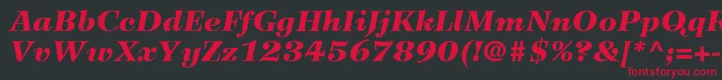 WilkeLt96BlackItalic Font – Red Fonts on Black Background