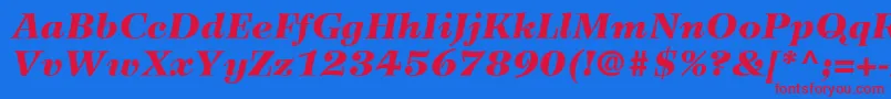 WilkeLt96BlackItalic Font – Red Fonts on Blue Background