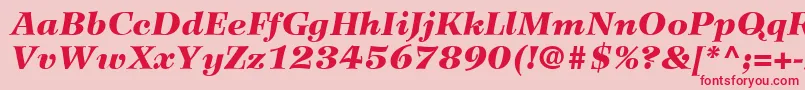 WilkeLt96BlackItalic Font – Red Fonts on Pink Background