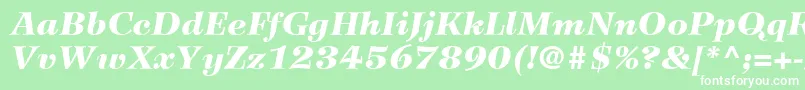 フォントWilkeLt96BlackItalic – 緑の背景に白い文字