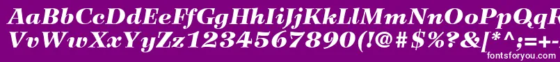 WilkeLt96BlackItalic-fontti – valkoiset fontit violetilla taustalla