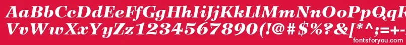 Fonte WilkeLt96BlackItalic – fontes brancas em um fundo vermelho