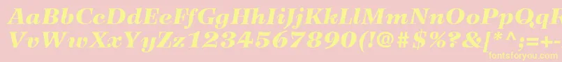 WilkeLt96BlackItalic Font – Yellow Fonts on Pink Background