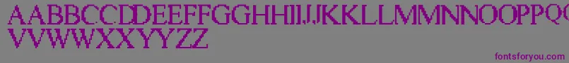 VicTwenty Font – Purple Fonts on Gray Background