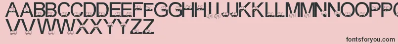 LmsCuddleCats Font – Black Fonts on Pink Background