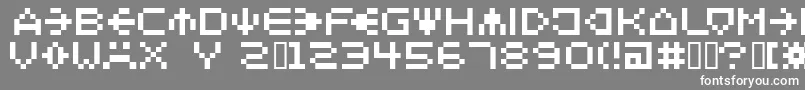 Spaider Font – White Fonts on Gray Background