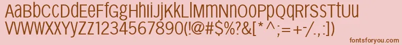 Sansxhigh Font – Brown Fonts on Pink Background