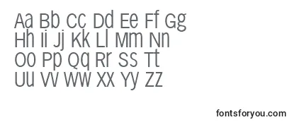 Sansxhigh Font