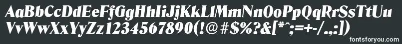 フォントDenverserialBlackItalic – 白い文字