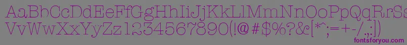 TypewriterserialXlightRegular Font – Purple Fonts on Gray Background