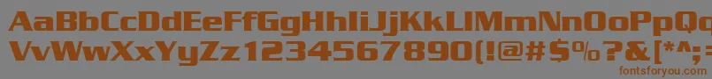 Serpentinedbol Font – Brown Fonts on Gray Background