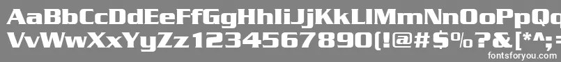 Serpentinedbol Font – White Fonts on Gray Background