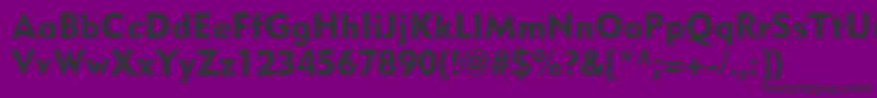 MetroblackLtTwo Font – Black Fonts on Purple Background