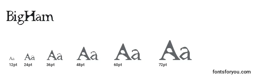 BigHam Font Sizes