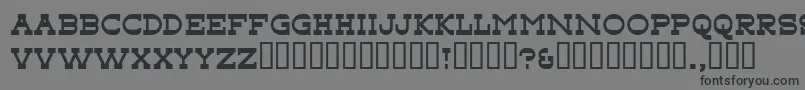 More about Tonky Font Tonky Font – Black Fonts on Gray Background