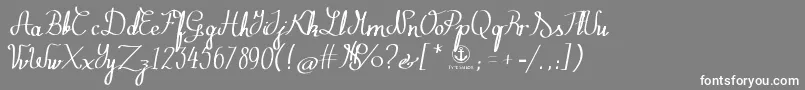 フォントZephiroth – 灰色の背景に白い文字