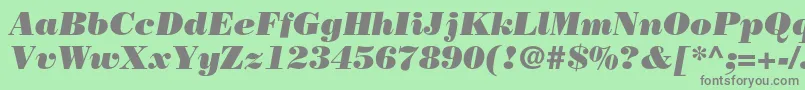 BodonistdPosteritalic Font – Gray Fonts on Green Background