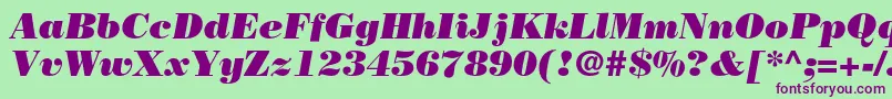BodonistdPosteritalic Font – Purple Fonts on Green Background