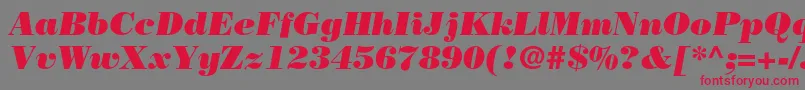 BodonistdPosteritalic Font – Red Fonts on Gray Background