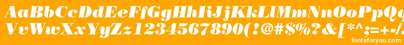 BodonistdPosteritalic Font – White Fonts on Orange Background