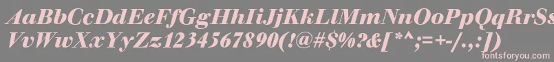 WalbaumOriginalBolditalic Font – Pink Fonts on Gray Background