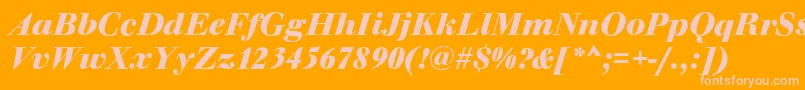 WalbaumOriginalBolditalic Font – Pink Fonts on Orange Background