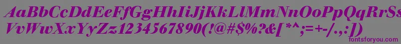 Шрифт WalbaumOriginalBolditalic – фиолетовые шрифты на сером фоне