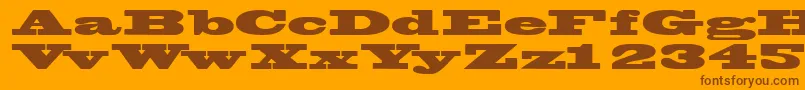 Wantedposterssk Font – Brown Fonts on Orange Background