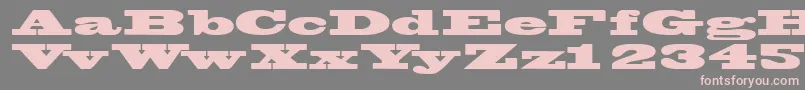Wantedposterssk Font – Pink Fonts on Gray Background