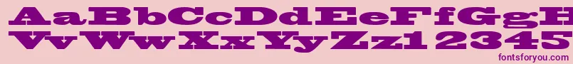 Wantedposterssk-fontti – violetit fontit vaaleanpunaisella taustalla
