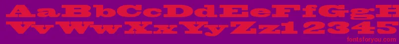 Wantedposterssk Font – Red Fonts on Purple Background