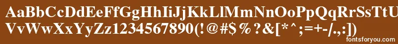 フォントRoman – 茶色の背景に白い文字