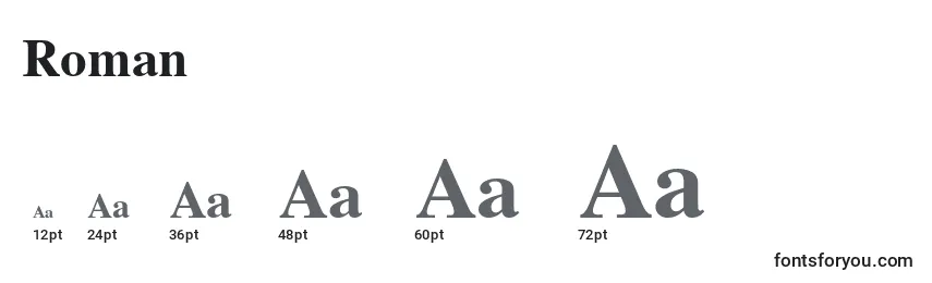 Размеры шрифта Roman