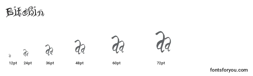 Bitchin font sizes
