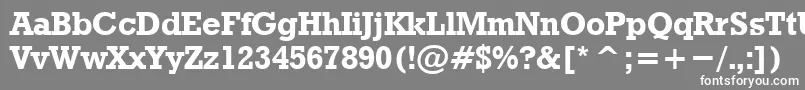 フォントRodeoBold – 灰色の背景に白い文字