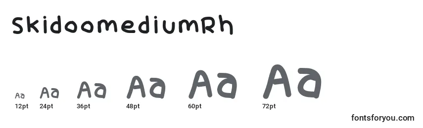 SkidoomediumRh Font Sizes