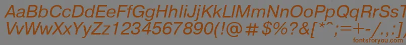 UkrainianpragmaticaItalic Font – Brown Fonts on Gray Background