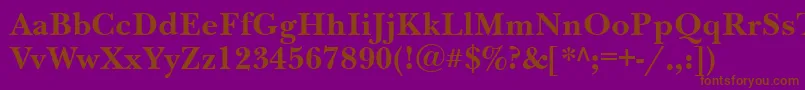 NewbaskervillegttBold Font – Brown Fonts on Purple Background