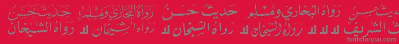 McsHadeith2 Font – Gray Fonts on Red Background