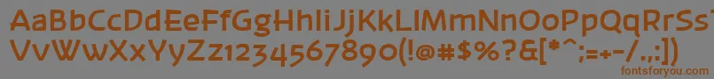フォントBanksb20 – 茶色の文字が灰色の背景にあります。