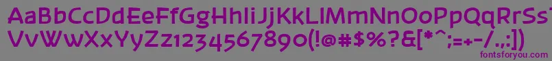 フォントBanksb20 – 紫色のフォント、灰色の背景