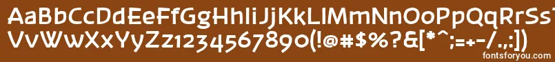 フォントBanksb20 – 茶色の背景に白い文字