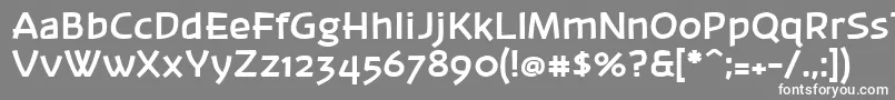 フォントBanksb20 – 灰色の背景に白い文字